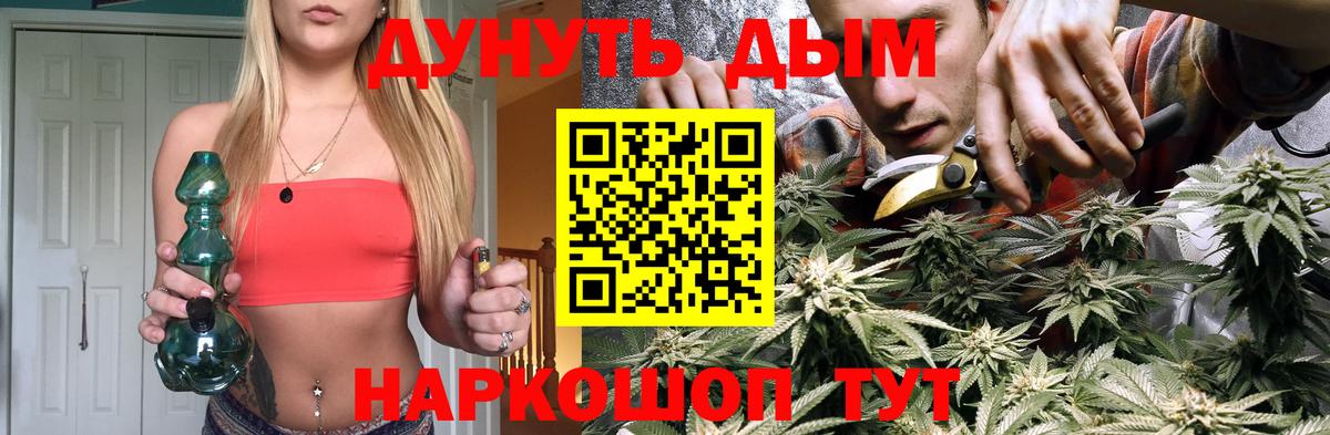 Шишки марихуана гибрид Саяногорск